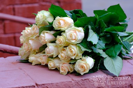 Букет из 21 кремовой розы "Талея"